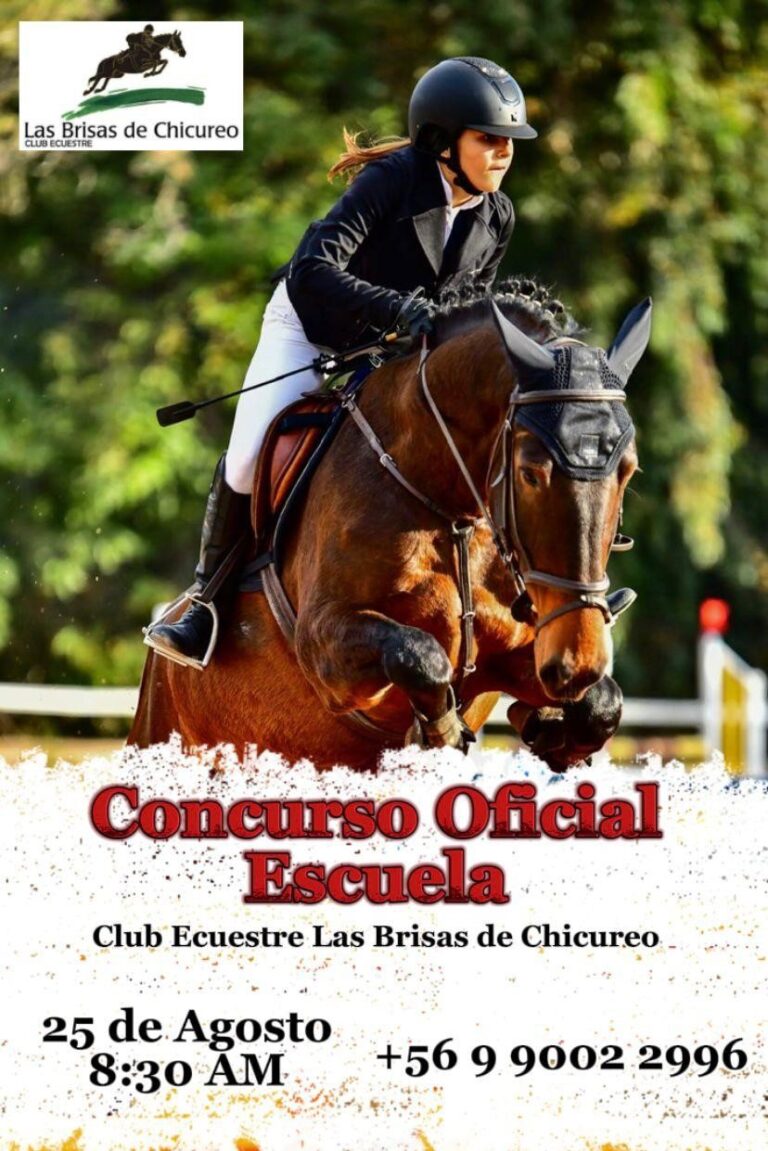 Concurso escuela ecuestre