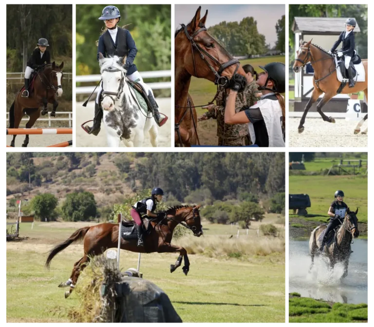 EQUITACION