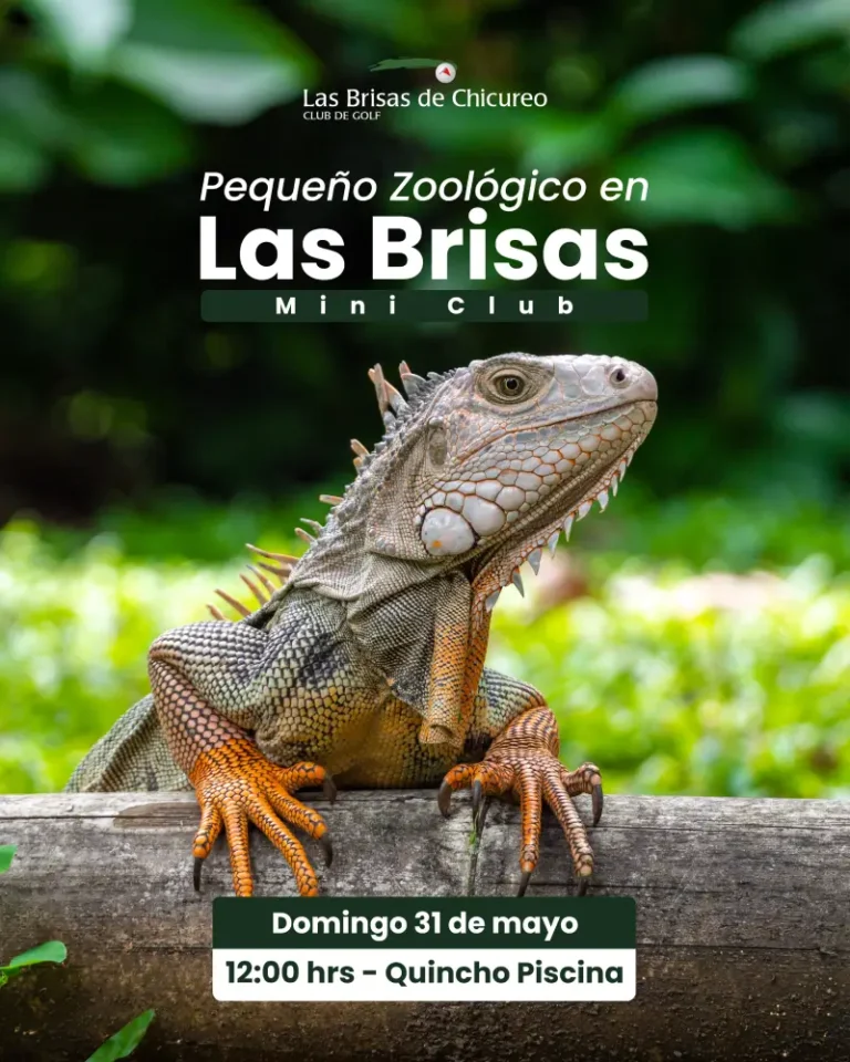 Pequeño ZOOLOGICO (1)