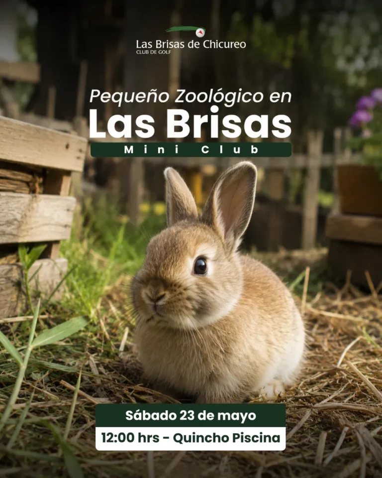 Pequeño ZOOLOGICO